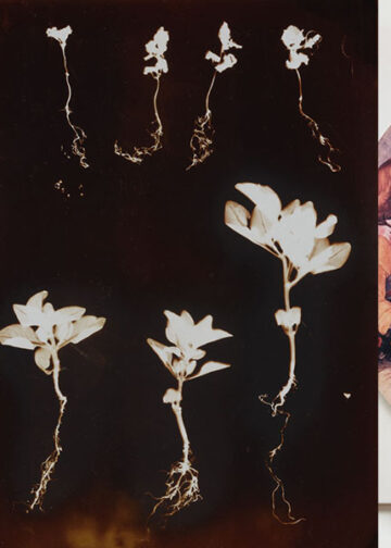 Phillip Prodger. An Alternative History of Photography