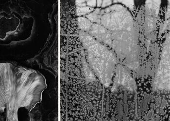 Paul Caponigro, Visual Memories and Hidden Places