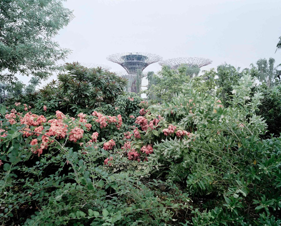 Singapore Gardens by the Bay, © Giulio Di Sturco