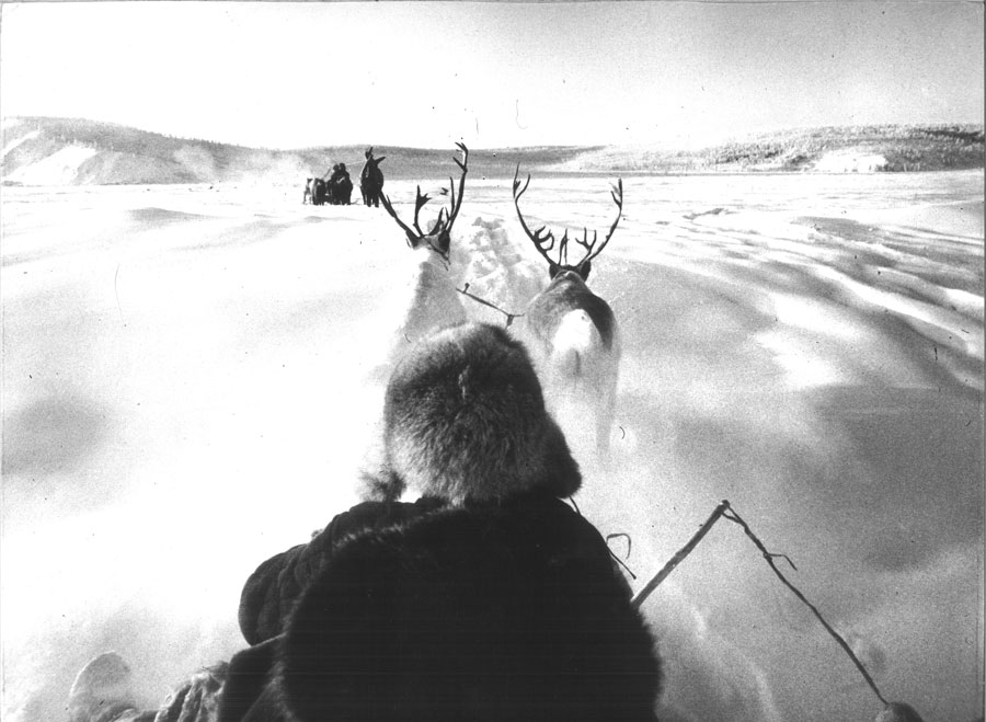 Mario De Biasi, Slitta con renne, Siberia 1964, stampa vintage ai sali di argento