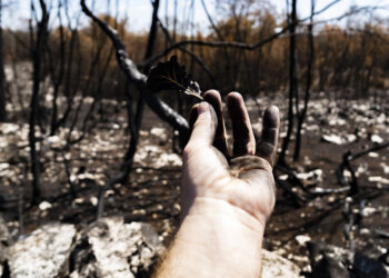 Acqua più preziosa del diamante