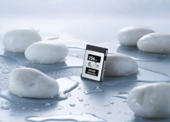 lexar cfexpress silver da 256gb