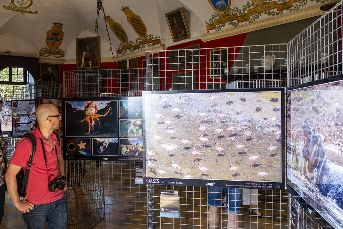 La mostra del concorso Oasis Photo Contest Roero 2023, stampata e allestita nel castello Roero di Monticello D'Alba (CN) con il contributo tecnico di Fujifilm.
