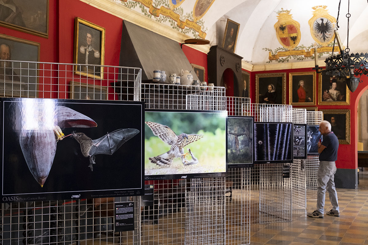 La mostra del concorso Oasis Photo Contest Roero 2023, stampata e allestita nel castello Roero di Monticello D'Alba (CN) con il contributo tecnico di Fujifilm.