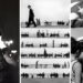 La Roue des Merveilles: Harold Feinstein