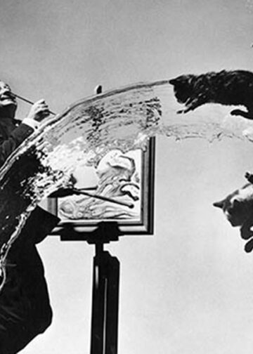 Philippe Halsman. Lampo di genio. © Philippe Halsman, Dalì Atomicus