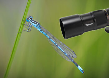 foto di stewart woods per mitakon