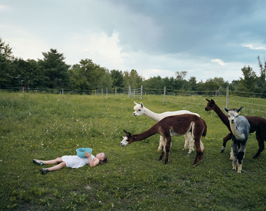 © Robin Schwartz, Feeding shy alpacas