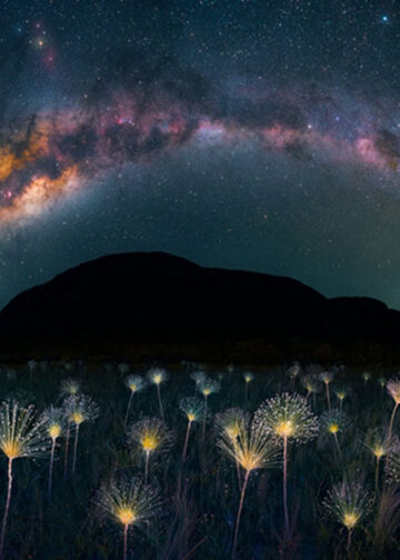 Marcio Cabral, vincitore categoria “Vegetal World” dell’Oasis Roero Photo Contest 2023.