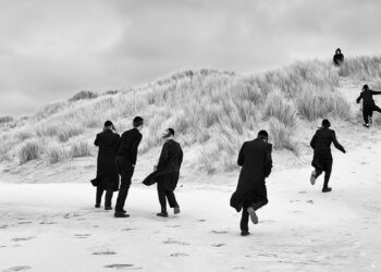 Great Photo Awards 2023