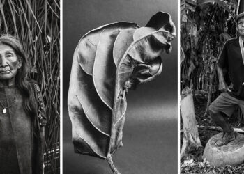 Juan Borja, Spiriti della foresta