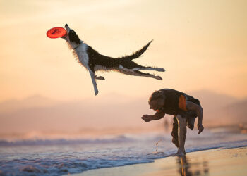 © Mattia Gorno, Wave power