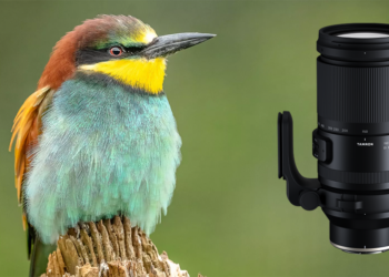 Tamron 150-500mm con gruccione