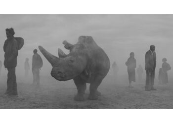 Nick Brandt. The Day May Break