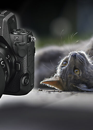 nikkor 135mm plena con gatto