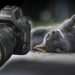 nikkor 135mm plena con gatto