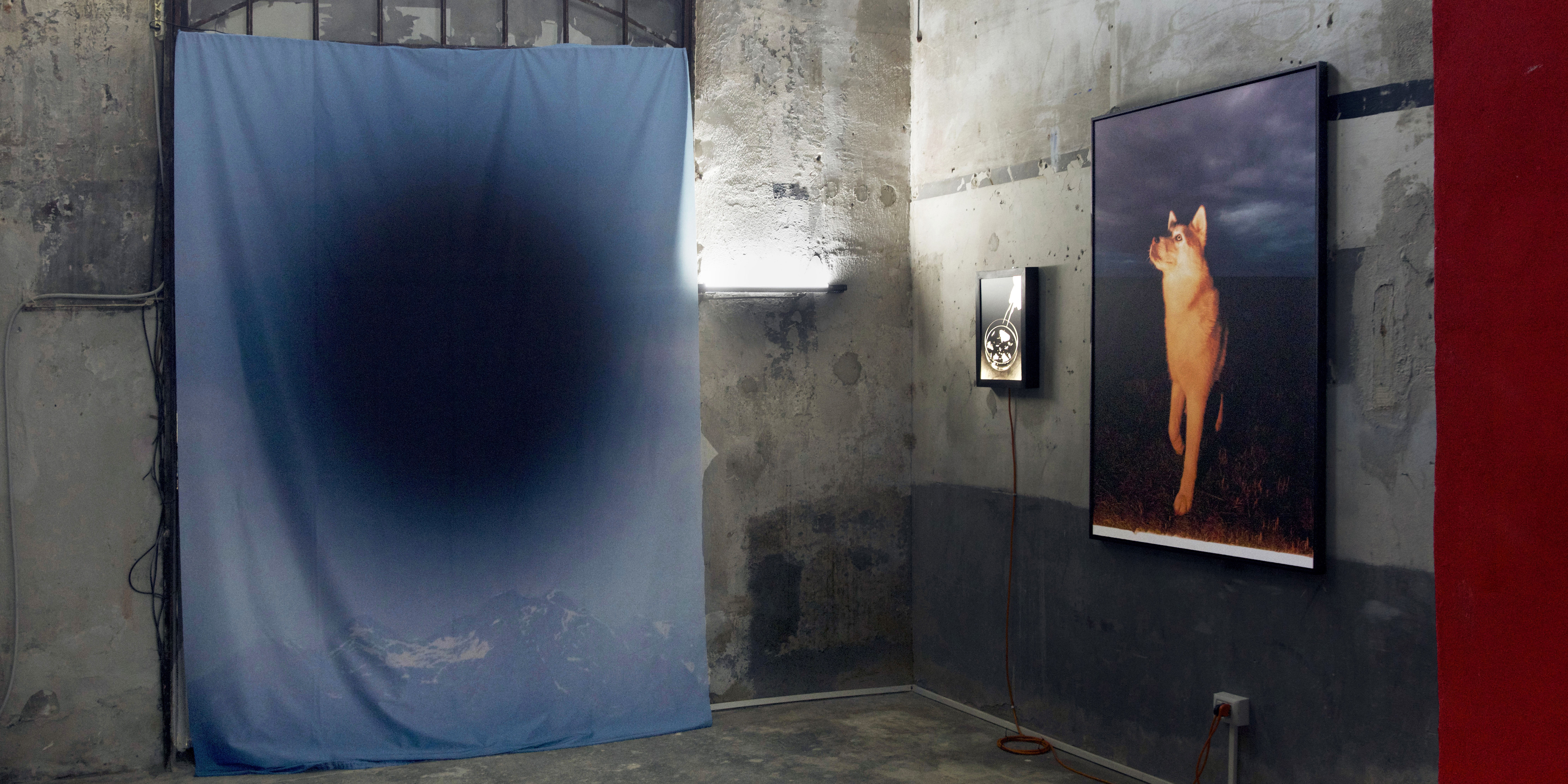 Mattia Balsamini. Mezza luce - FOTO Cult