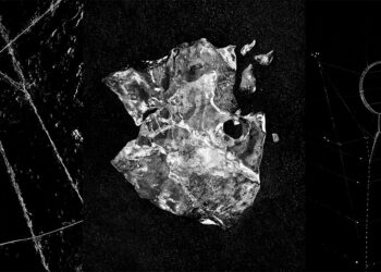 Francesco Zizola Hybris