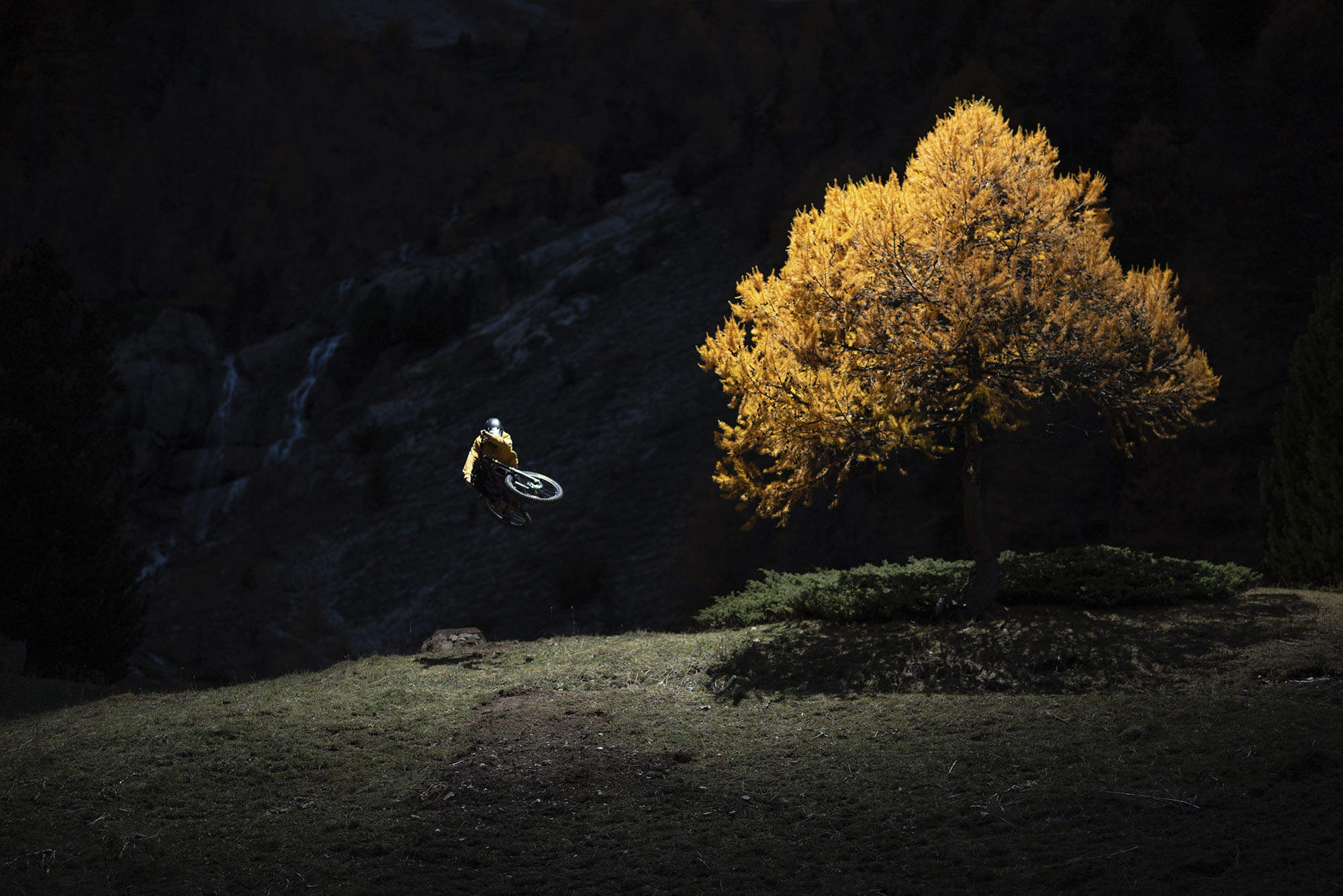 ciclista in salto vicino a un albero