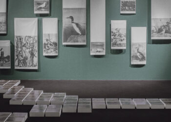 Matteo de Mayda, Una barena intera