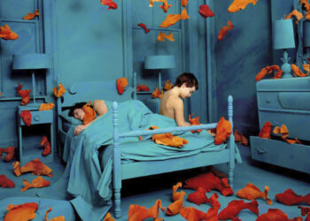 Sandy Skoglund Senigallia