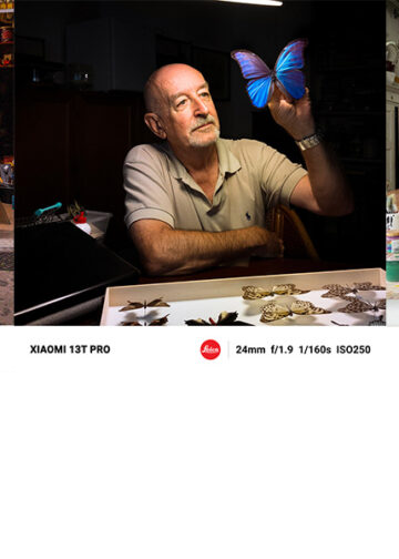 Progetto Italia riflessa