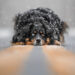 © Grace Fieselman, Serene Snowfall Dog Photography Awards 2023