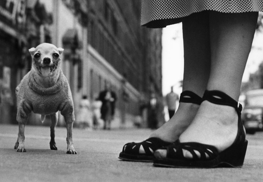 New York, 1946. © Elliott Erwitt/Magnum photos/Contrasto