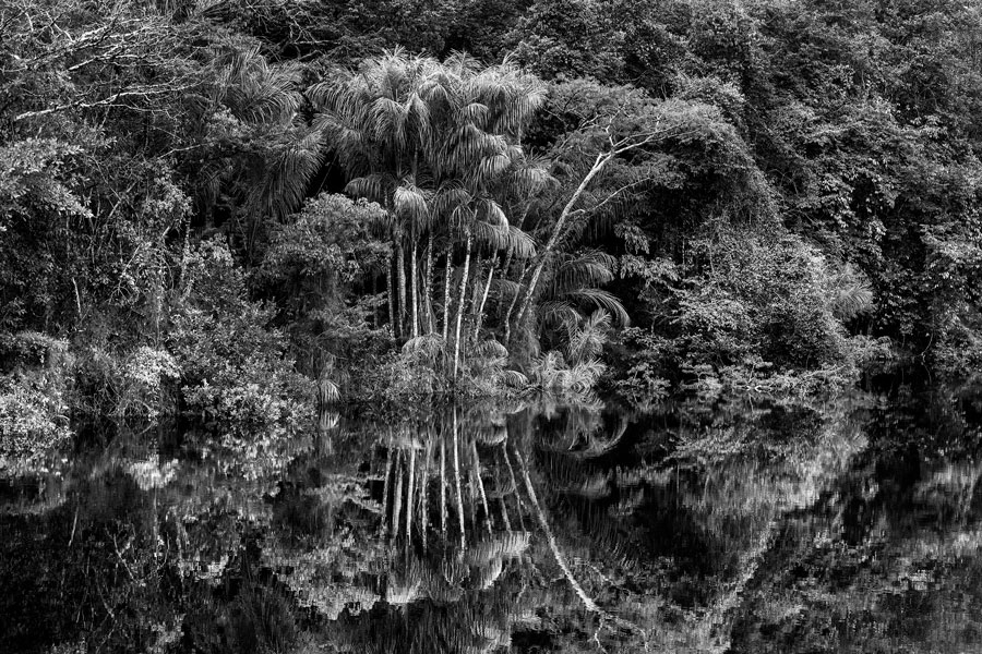 Rio Jaú. Stato di Amazonas, Brasile, 2019. © Sebastião Salgado/Contrasto