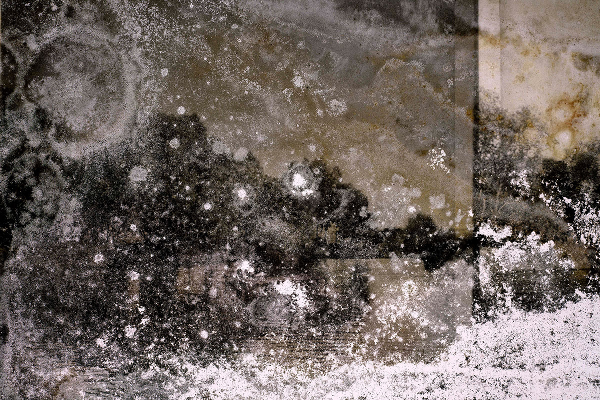 Joan Fontcuberta. Cultura di polvere - Trauma #3191, light box 100x150cm, stampa INK JET su pellicola Backlight montata su plexiglass 3mm in scatola di legno nero (profilo 3x 7cm), 2022. © ICCD Roma