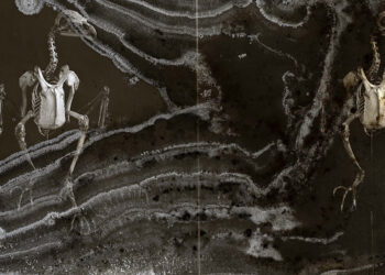 Joan Fontcuberta. Cultura di polvere © ICCD Roma