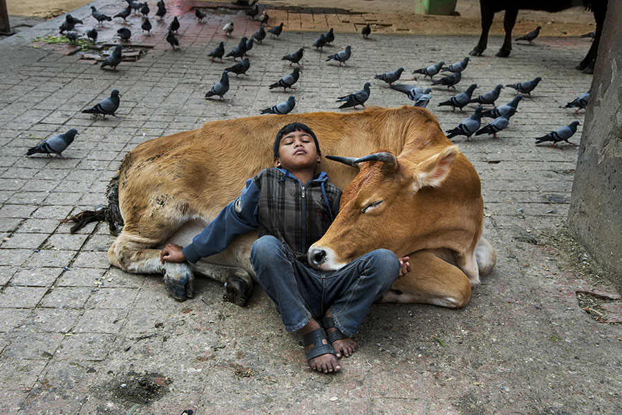 Kathmandu, Nepal, 2013. © Steve McCurry