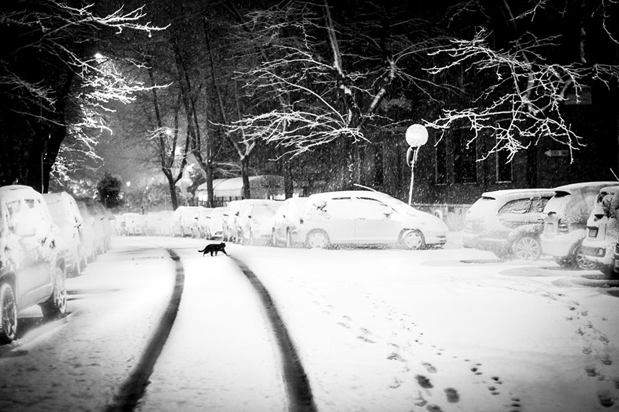 La notte dell'ultima nevicata. © Zhanna Stankovych. Garbatella. Il cuore di un quartiere in 100 battiti di luce