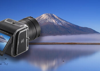 hasselblad cfv 100c + 907x evidenza