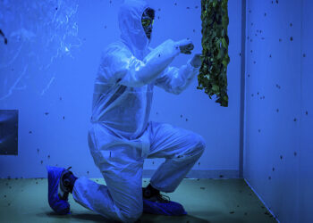 © Luigi Avantaggiato