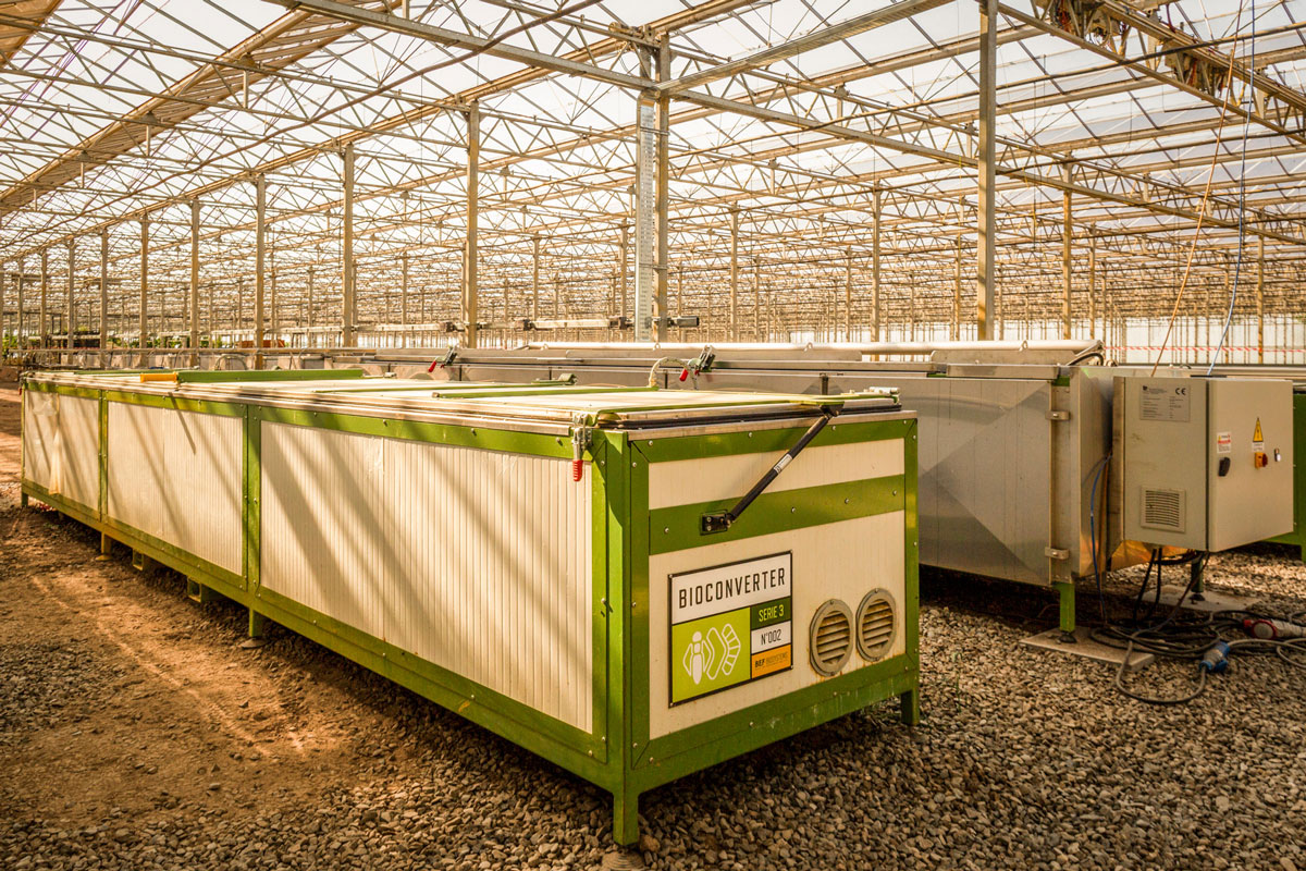 Un bioconverter nei laboratori di "BEF Biosystem" presso Calalnoceto, Alessandria, Italia. Al suo interno 90kg di larve trasformano il substrato di coltivazione in un residuo organico simile a un terriccio, ricco di proprietà fertilizzanti e ammendanti. Il residuo organico può essere utilizzato come compost in agricoltura oppure come risorsa energetica per alimentare impianti a biogas. © Luigi Avantaggiato, Millennium Bugs
