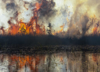© Peter Meyer, Australia, “Flames #5 ”. Secondo classificato Landscape Photograph of the Year, International Landscape Photographer of the Year 2023