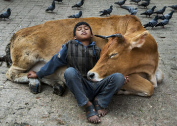 © Steve McCurry. Icons