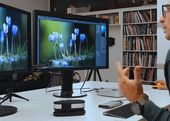 esperto valuta monitor grafici