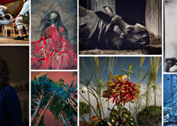 Finalisti Professional Competition Sony World Photography Awards 2024