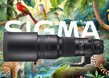 immagine di fantasia con foresta tropicale, animali e teleobiettivo