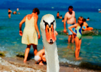 Martin Parr, Life's a Beach, Sirmione