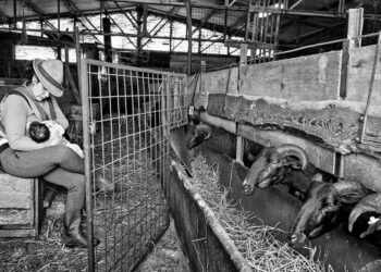 © Fabrizio Tempesti