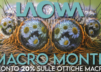 occhi di ragno con fiori riflessi