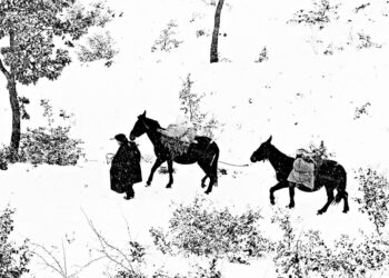 Fulvio Roiter: vagabondare per l’Umbria sulle tracce di San Francesco