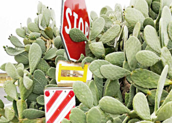 La fotografia di paesaggio quarant’anni dopo il “Viaggio in Italia” di Luigi Ghirri