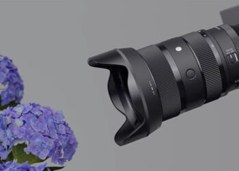sigma 28-45mm closeup
