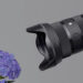sigma 28-45mm closeup