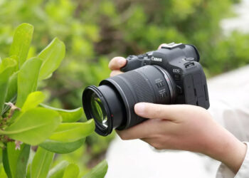 canon rf 28-70mm closeup