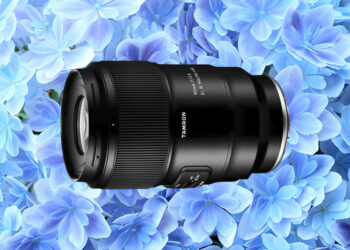 tamron 90mm su plumbago